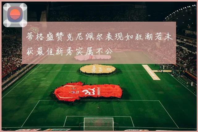 蒂格盛赞克尼佩尔表现如狂潮若未获最佳新秀实属不公