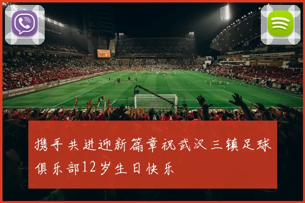 携手共进迎新篇章祝武汉三镇足球俱乐部12岁生日快乐